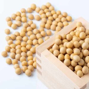 Soya Bean